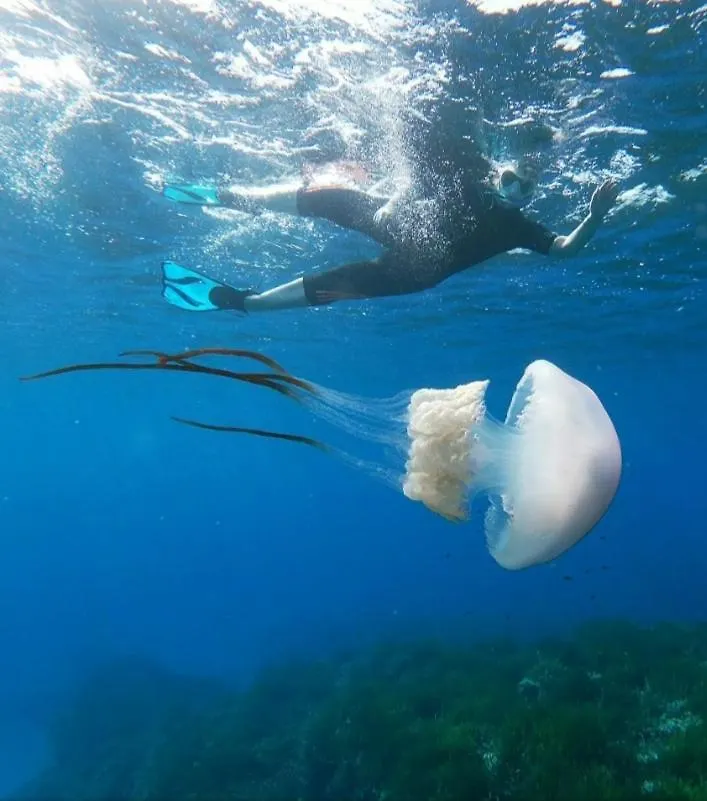 شقة Vientos Y Mares المرية