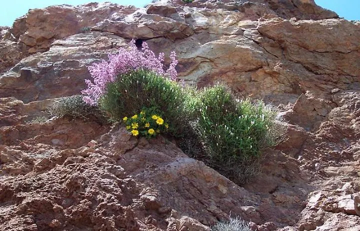 Vientos Y Mares Apartment Almeria 0*,  Spain