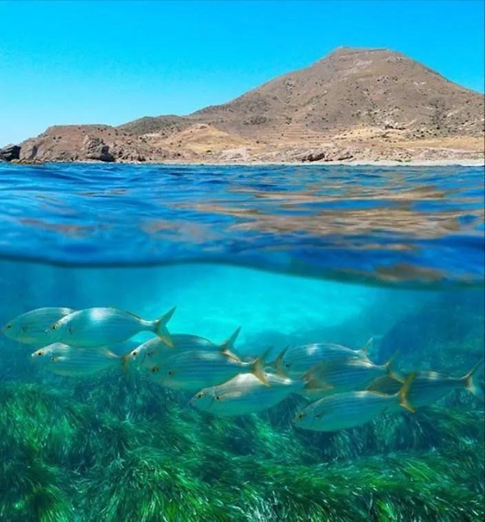 Vientos Y Mares Apartment Almeria